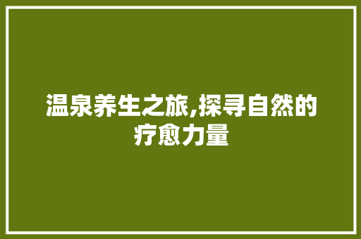 温泉养生之旅,探寻自然的疗愈力量