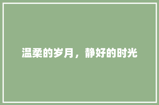 温柔的岁月，静好的时光