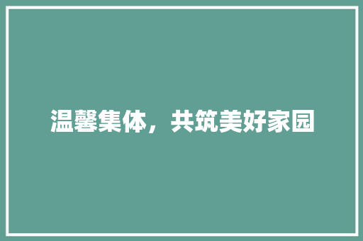 温馨集体，共筑美好家园