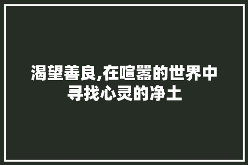 渴望善良,在喧嚣的世界中寻找心灵的净土