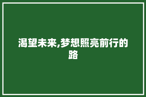 渴望未来,梦想照亮前行的路