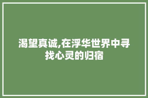 渴望真诚,在浮华世界中寻找心灵的归宿