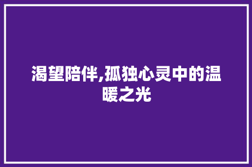 渴望陪伴,孤独心灵中的温暖之光