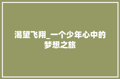 渴望飞翔_一个少年心中的梦想之旅