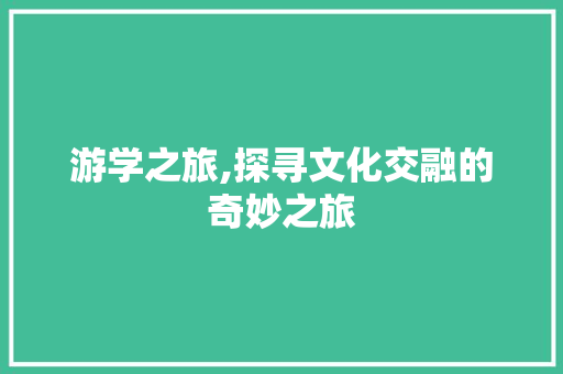 游学之旅,探寻文化交融的奇妙之旅