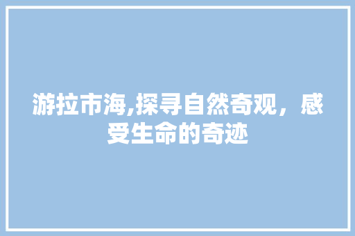 游拉市海,探寻自然奇观，感受生命的奇迹