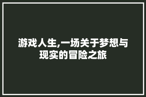 游戏人生,一场关于梦想与现实的冒险之旅