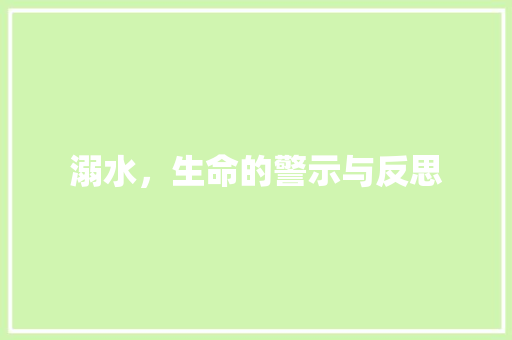 溺水，生命的警示与反思