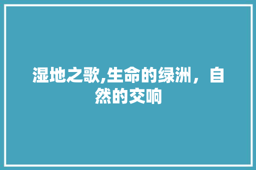 湿地之歌,生命的绿洲，自然的交响