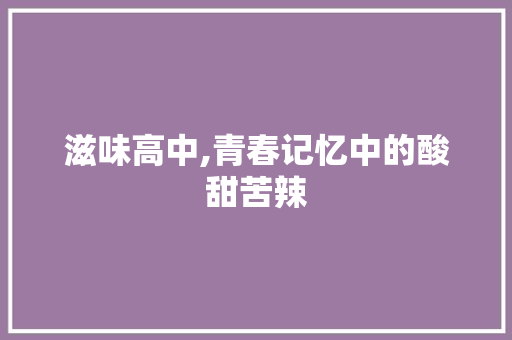 滋味高中,青春记忆中的酸甜苦辣