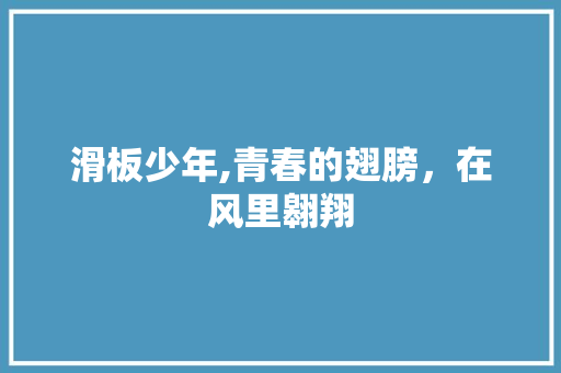 滑板少年,青春的翅膀，在风里翱翔