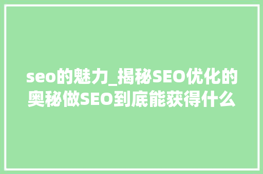 seo的魅力_揭秘SEO优化的奥秘做SEO到底能获得什么