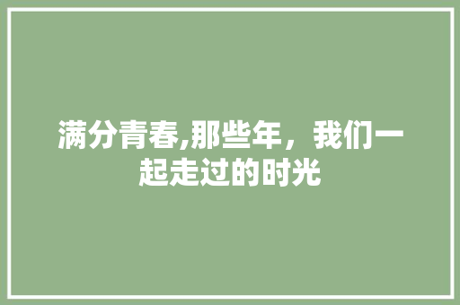 满分青春,那些年，我们一起走过的时光