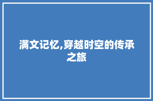 满文记忆,穿越时空的传承之旅