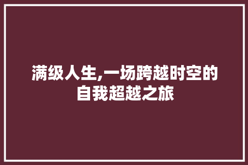 满级人生,一场跨越时空的自我超越之旅