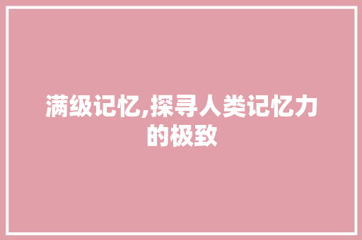 满级记忆,探寻人类记忆力的极致