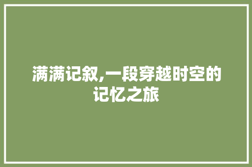 满满记叙,一段穿越时空的记忆之旅