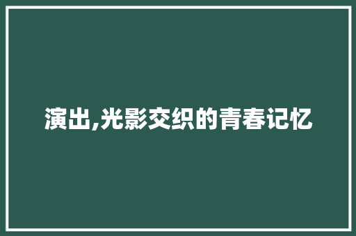 演出,光影交织的青春记忆