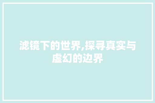 滤镜下的世界,探寻真实与虚幻的边界