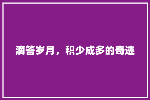 滴答岁月，积少成多的奇迹