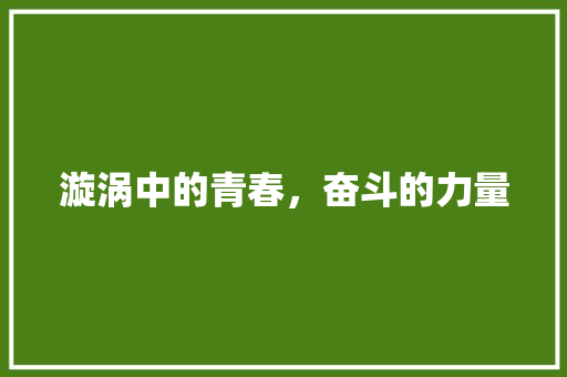 漩涡中的青春，奋斗的力量