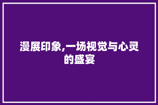 漫展印象,一场视觉与心灵的盛宴