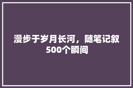 漫步于岁月长河，随笔记叙500个瞬间