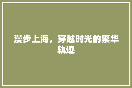 漫步上海，穿越时光的繁华轨迹