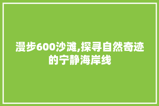 漫步600沙滩,探寻自然奇迹的宁静海岸线