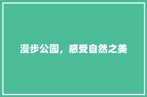 漫步公园，感受自然之美