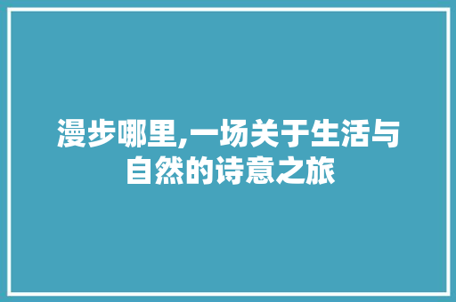 漫步哪里,一场关于生活与自然的诗意之旅