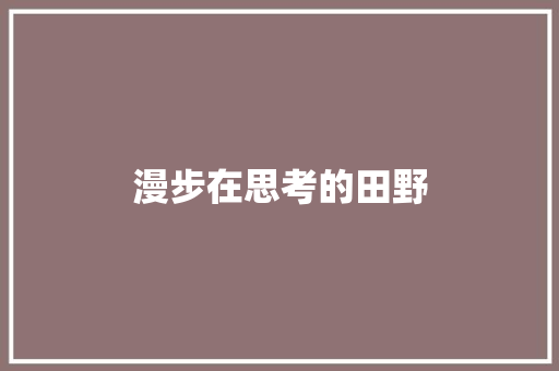 漫步在思考的田野