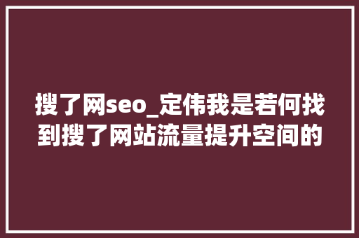 搜了网seo_定伟我是若何找到搜了网站流量提升空间的