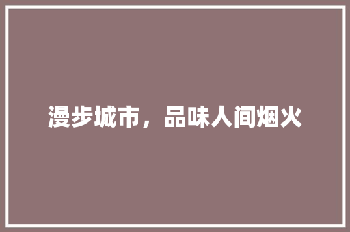 漫步城市，品味人间烟火