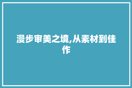 漫步审美之境,从素材到佳作