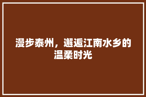 漫步泰州，邂逅江南水乡的温柔时光