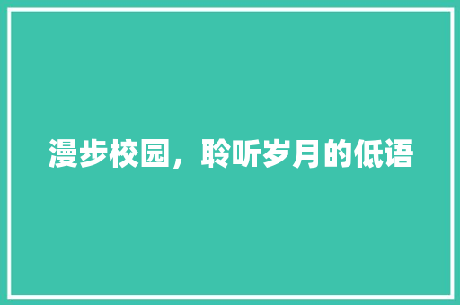 漫步校园，聆听岁月的低语