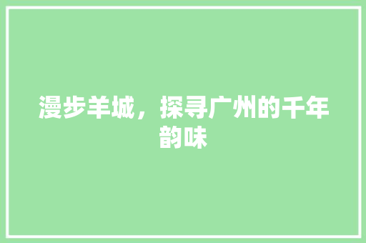 漫步羊城，探寻广州的千年韵味