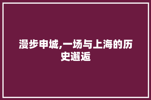 漫步申城,一场与上海的历史邂逅