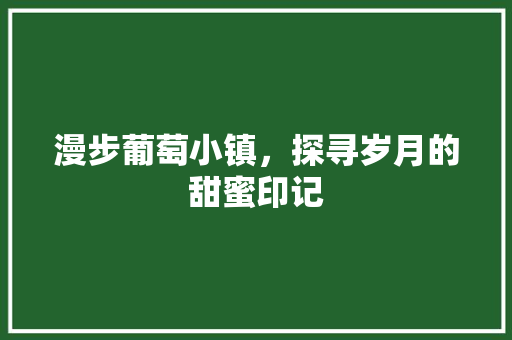 漫步葡萄小镇，探寻岁月的甜蜜印记