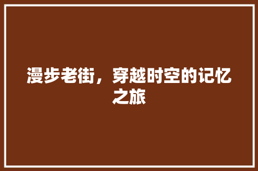 漫步老街，穿越时空的记忆之旅