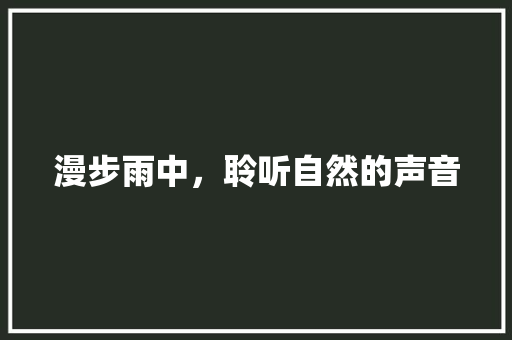 漫步雨中，聆听自然的声音