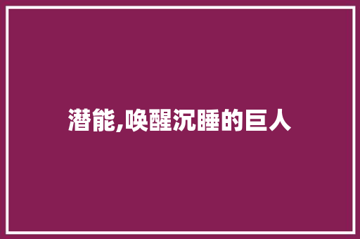 潜能,唤醒沉睡的巨人