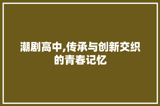 潮剧高中,传承与创新交织的青春记忆