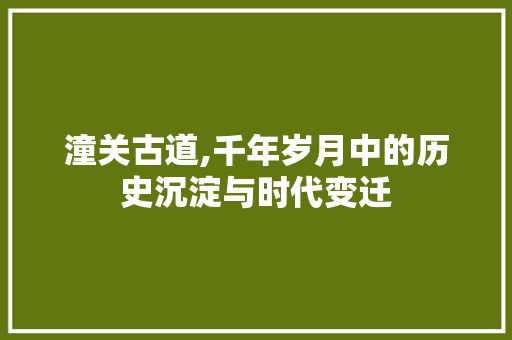 潼关古道,千年岁月中的历史沉淀与时代变迁