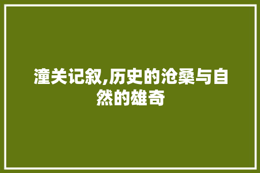 潼关记叙,历史的沧桑与自然的雄奇