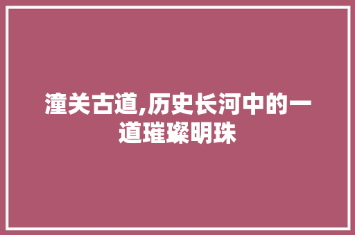 潼关古道,历史长河中的一道璀璨明珠