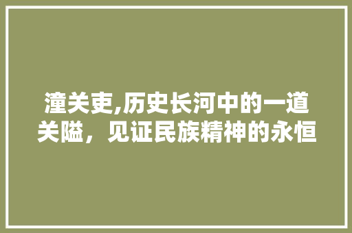 潼关吏,历史长河中的一道关隘，见证民族精神的永恒