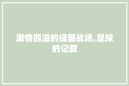 激情四溢的绿茵战场,足球的记叙