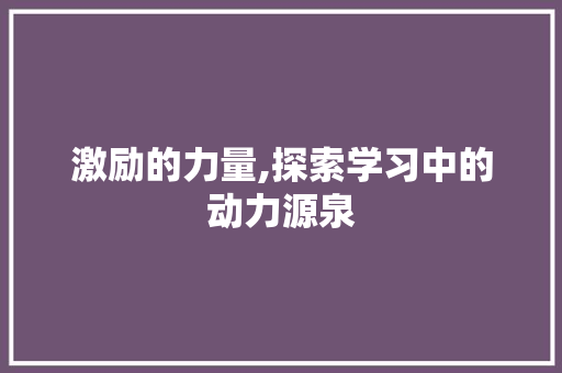 激励的力量,探索学习中的动力源泉